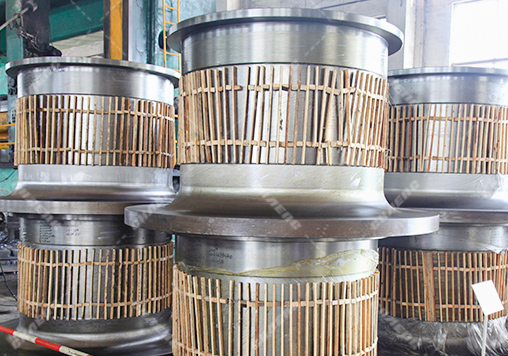 Ball mill trunnion